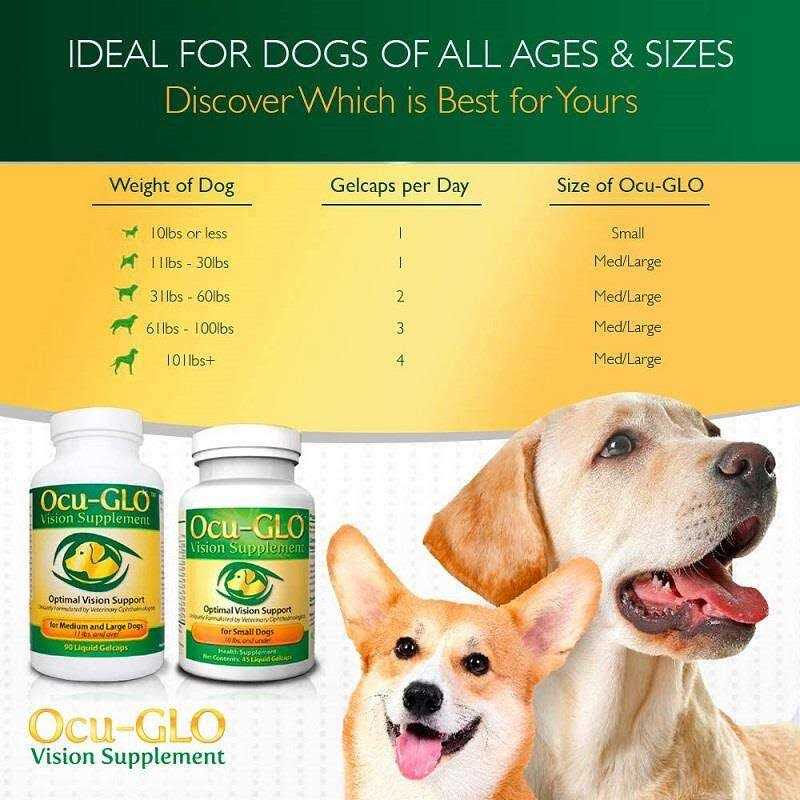 Medium to Large Dogs V10606