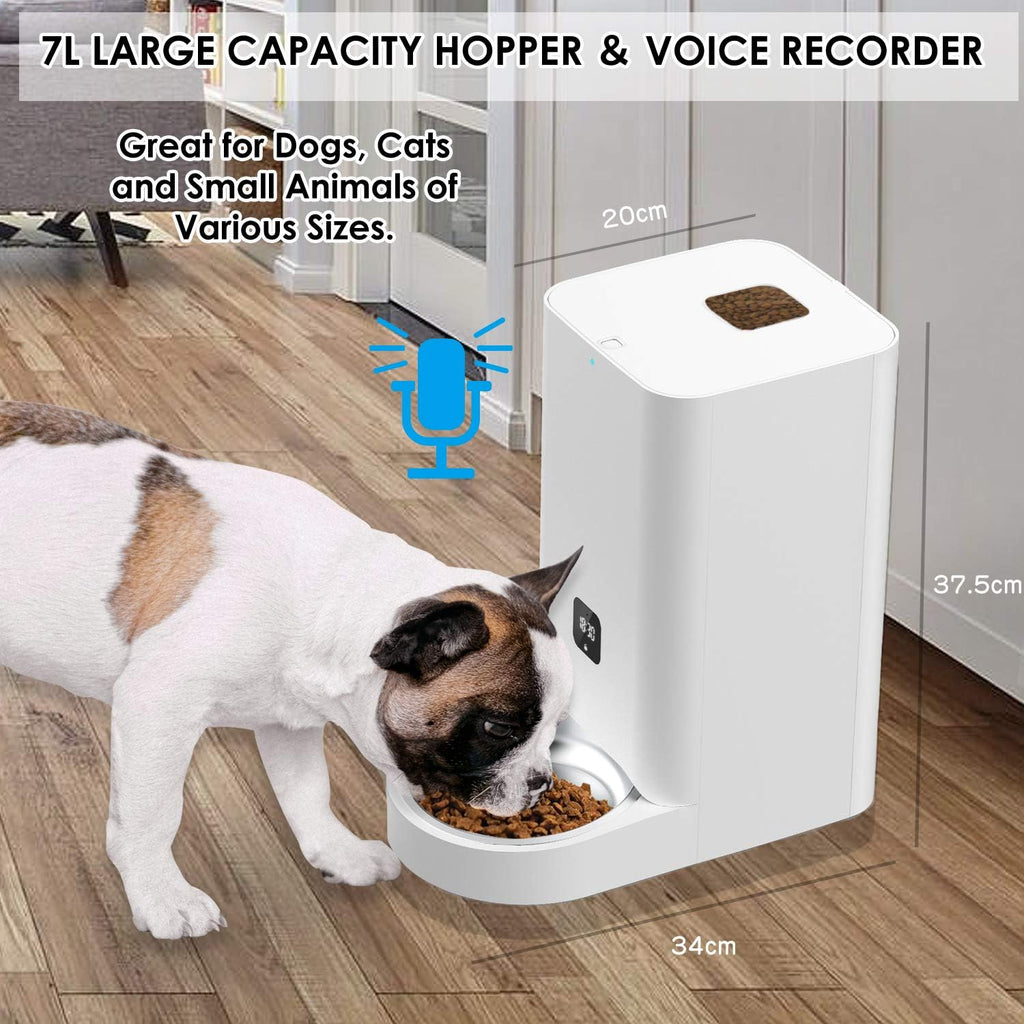 Automatic Cat Feeder with Portion Control, Power Pack of 2 K10586
