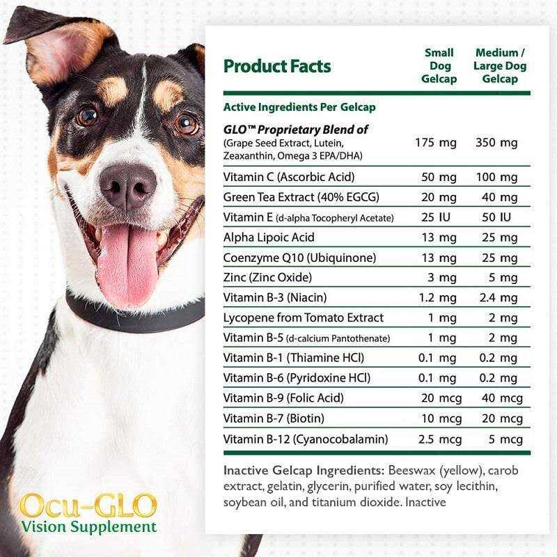 Medium to Large Dogs V10606
