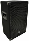 10 inch Passive 300W 2-Way PA Speaker N304649