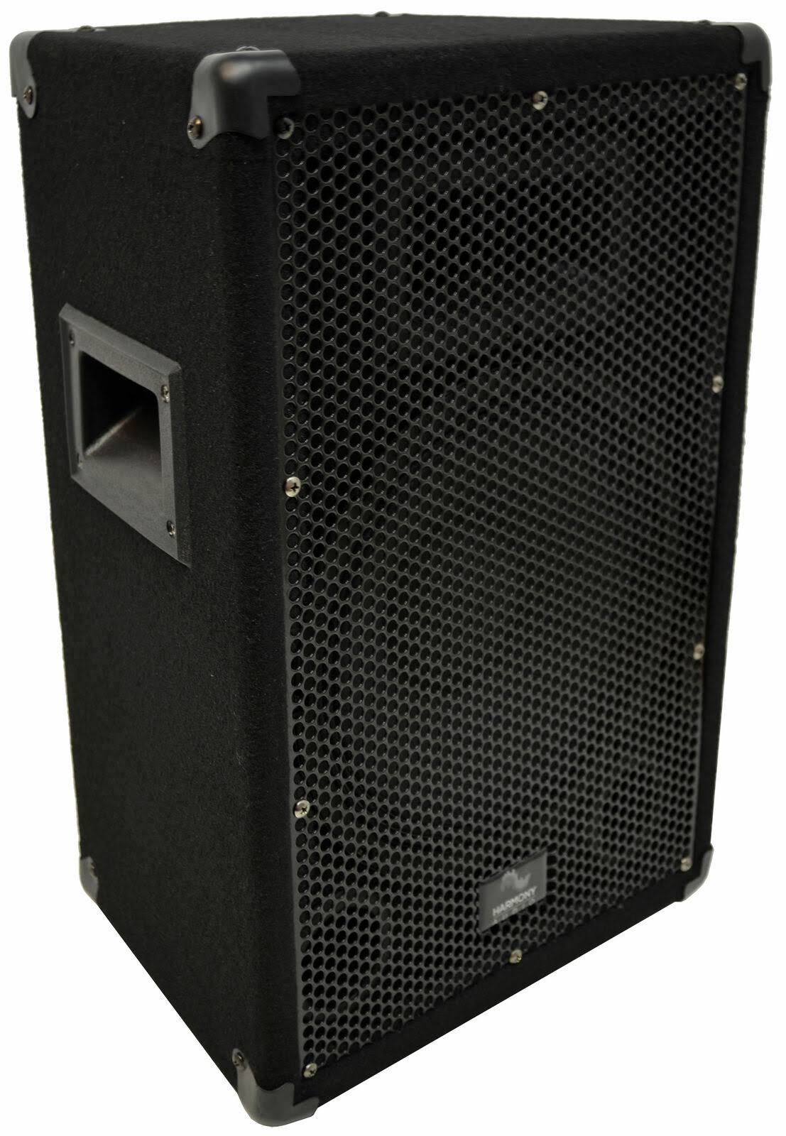 10 inch Passive 300W 2-Way PA Speaker N304649