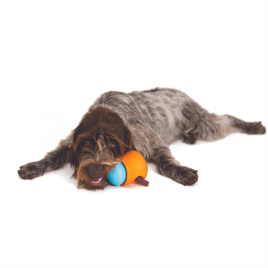 Dog Toy F122