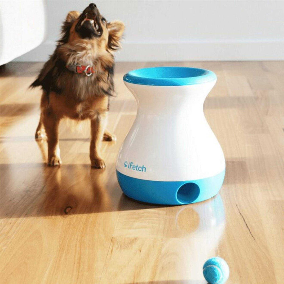 Dog Toy I55748