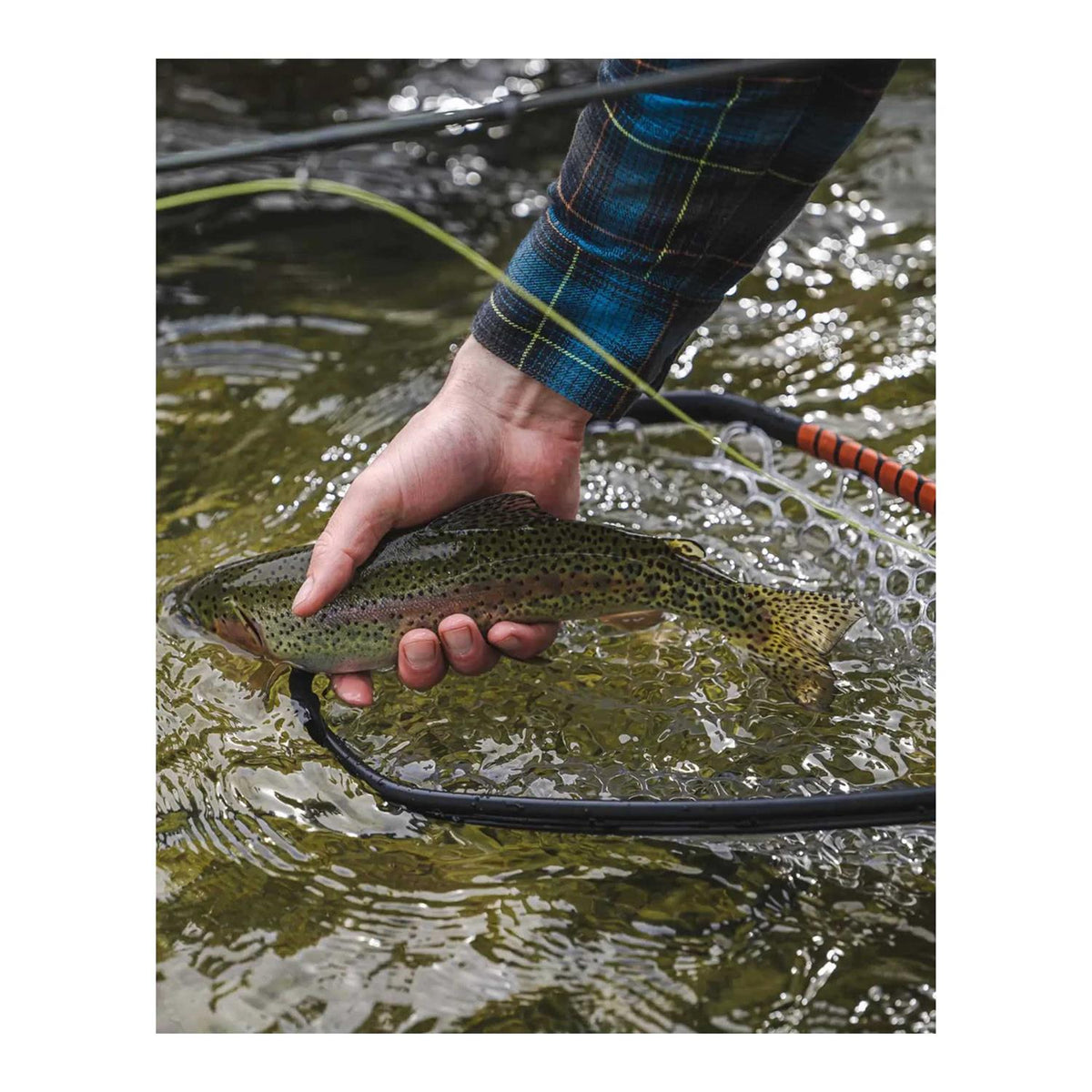 Daymaker Landing Net V9656