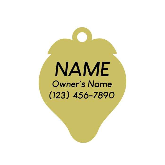 Pet ID Tag N48143