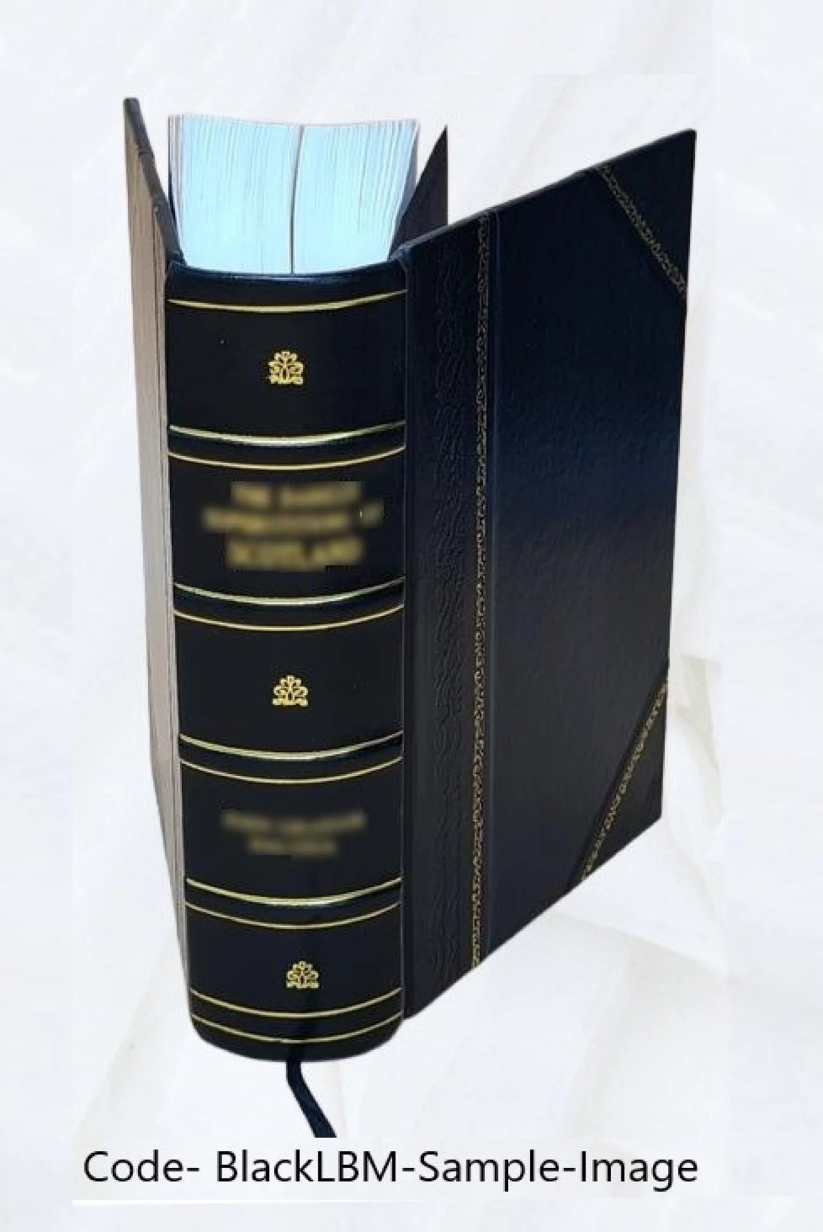 Alpha Sigma Phi Leather Bound Y2469