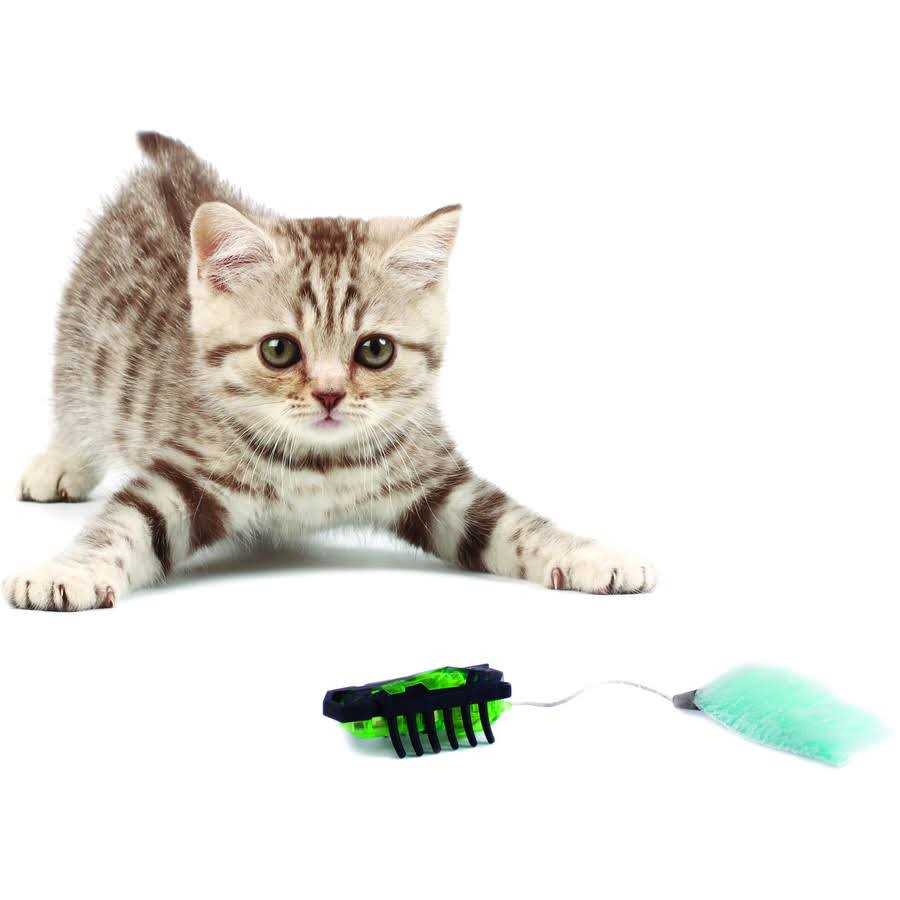 Robotic Cat Toy P238693