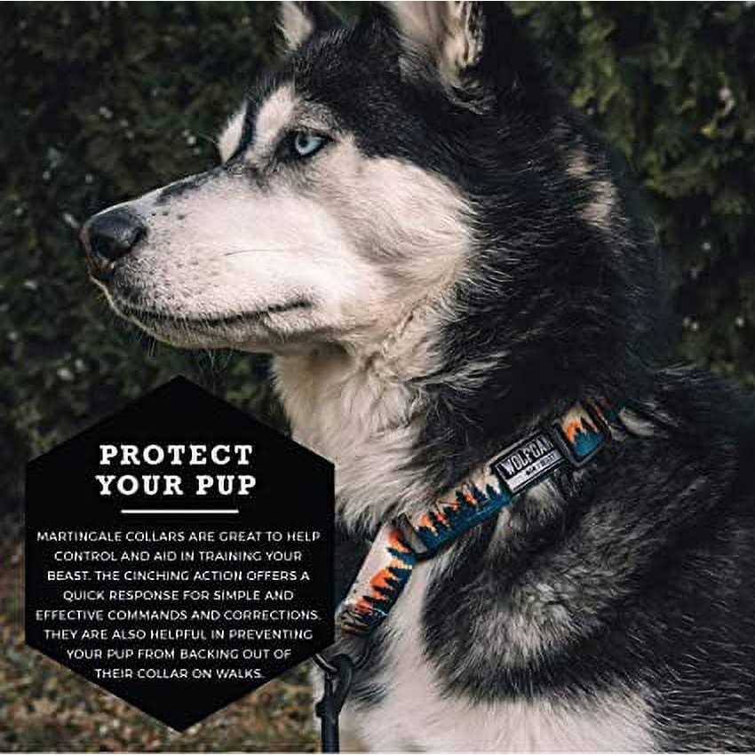 Martingale Dog Collar S2004
