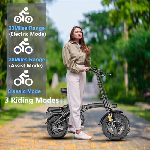 14" Mini Folding Electric Bike with 48V12AH Removable Battery M298