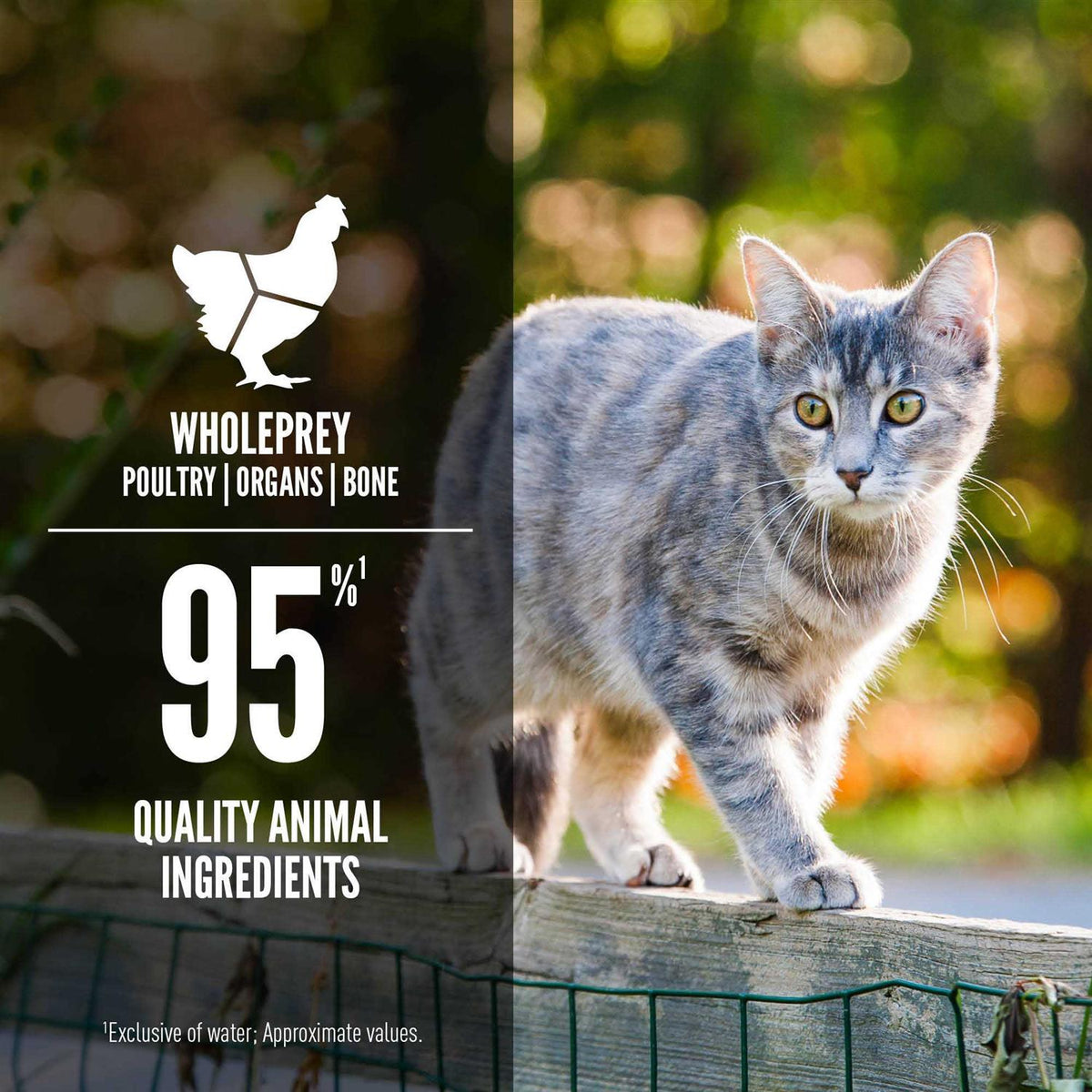 Wet Cat Food C5319