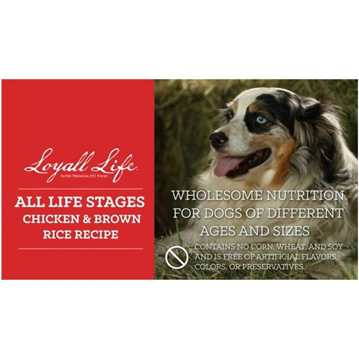 Chicken Brown Rice Dog Food D98865