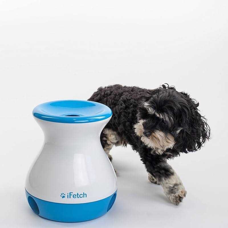 Dog Toy I55748