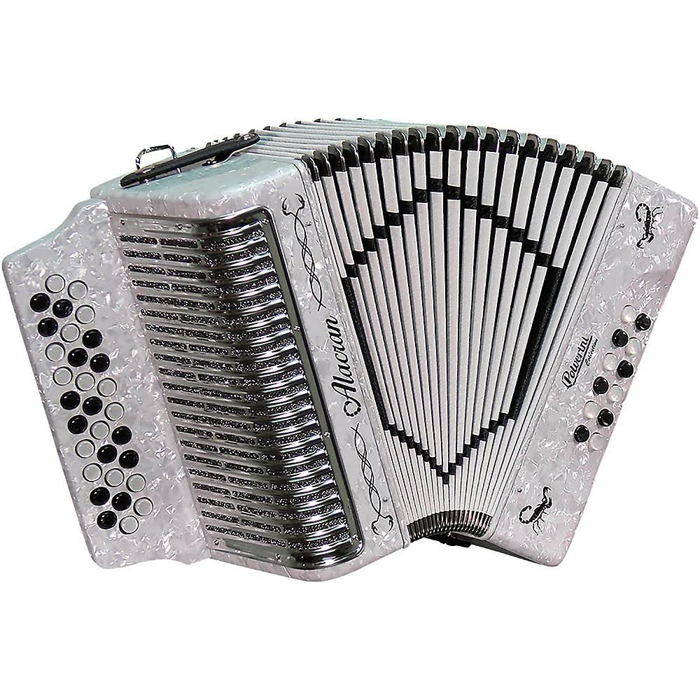 White Accordion with Case and Straps K835095