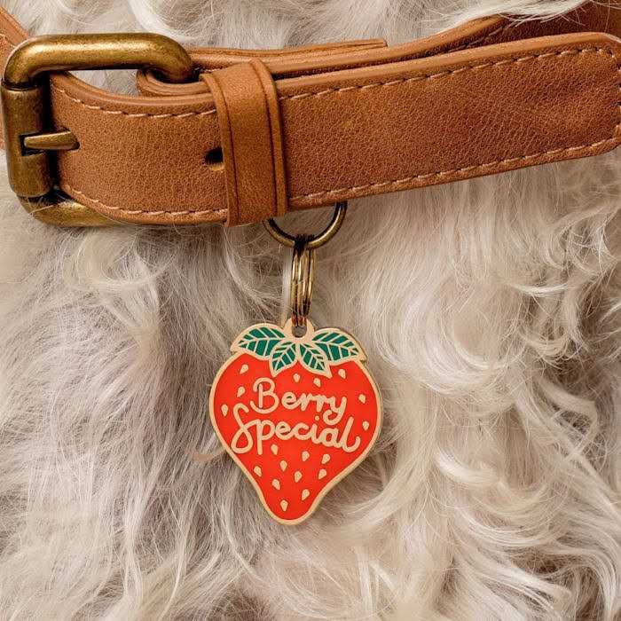 Pet ID Tag N48143