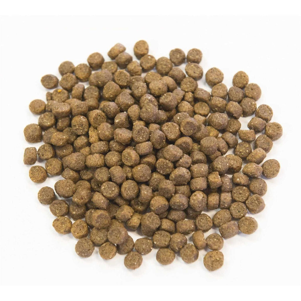 Ancient Grains with Chicken Dog Food X190