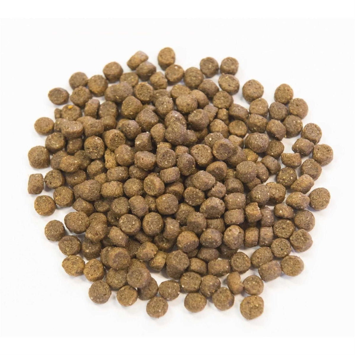 Ancient Grains with Chicken Dog Food X190