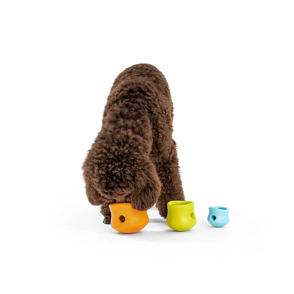 Dog Toy F122