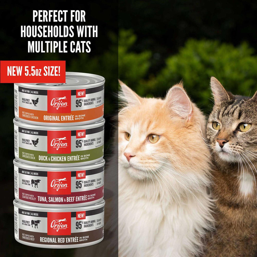 Wet Cat Food C5319