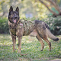 Adjustable Padded Tactical Dog Harness R941497