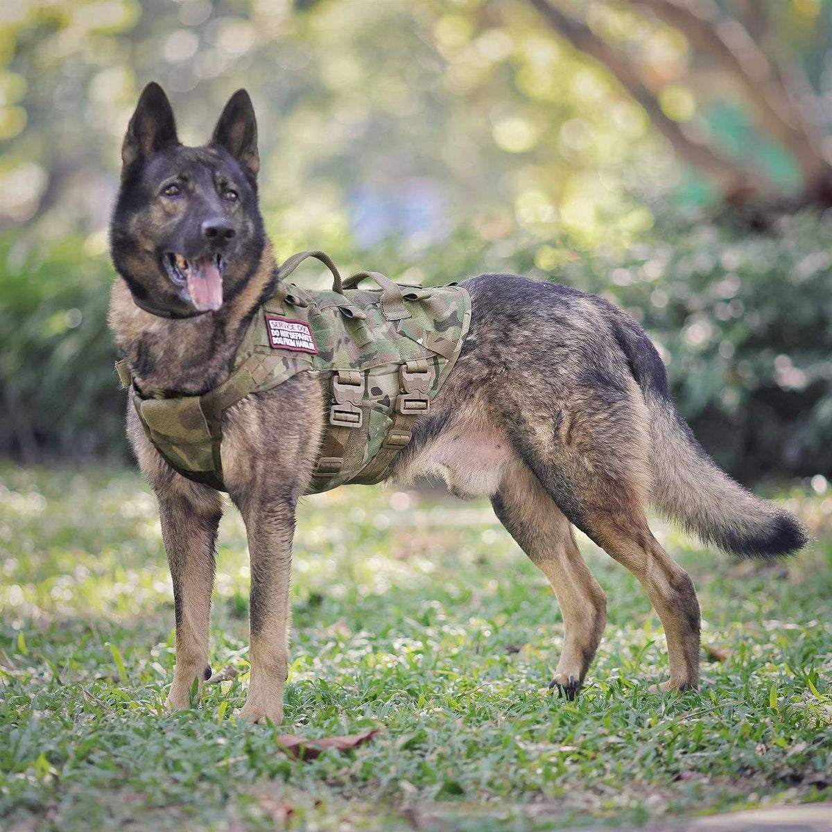 Adjustable Padded Tactical Dog Harness R941497