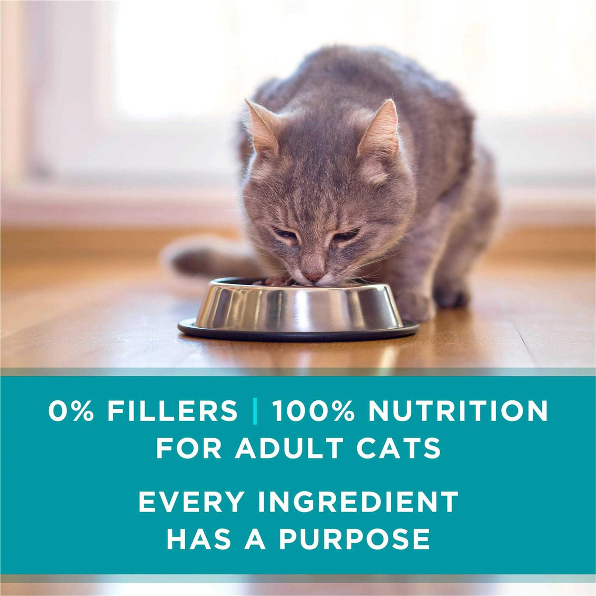 Natural Pate Wet Cat Food A544
