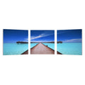 Mounted Photography Print Triptych F906834