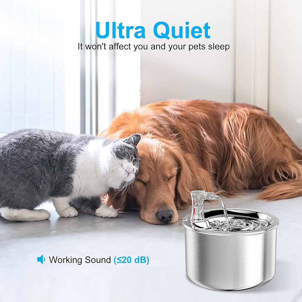 2L/67OZ 304 Stainless Steel Automatic Water Fountain H498