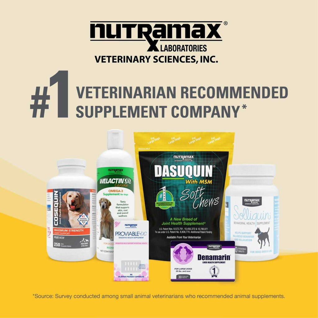 Large Dogs Joint Health Supplement with MSM P979038
