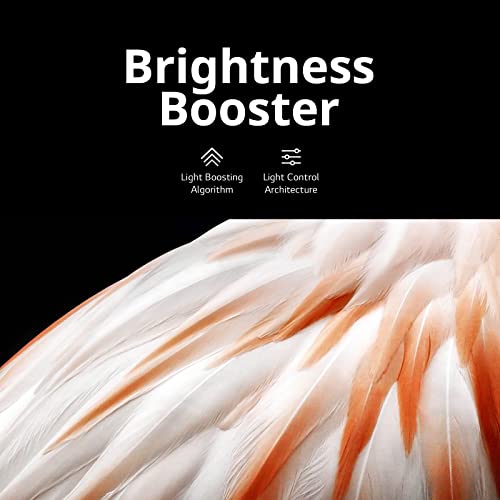 42-Inch Class OLED Smart TV X389
