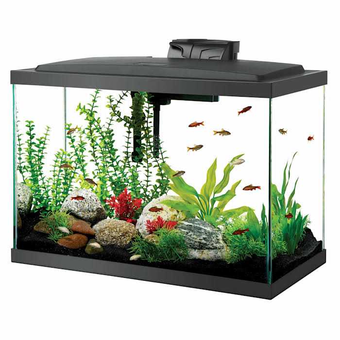 Standard Aquarium M939
