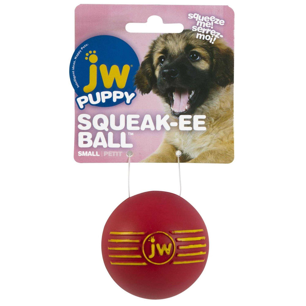 Dog Toy D790799