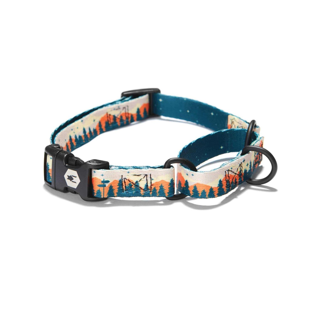 Martingale Dog Collar S2004
