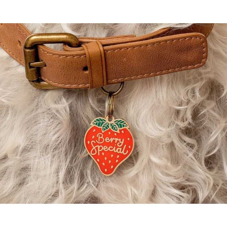 Pet ID Tag N48143