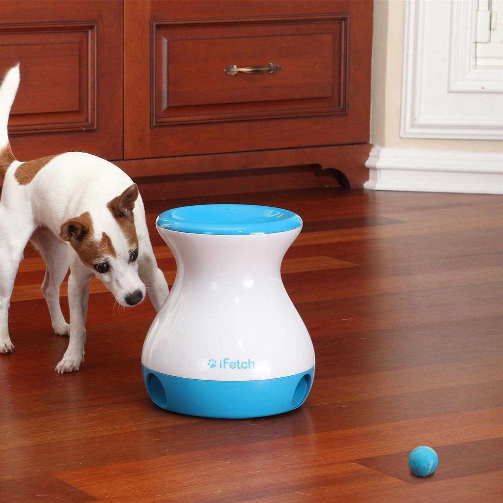 Dog Toy I55748