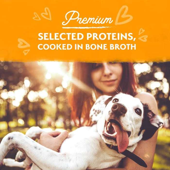 Natural Balance Limited Ingredient Stew Wet Dog Food D757