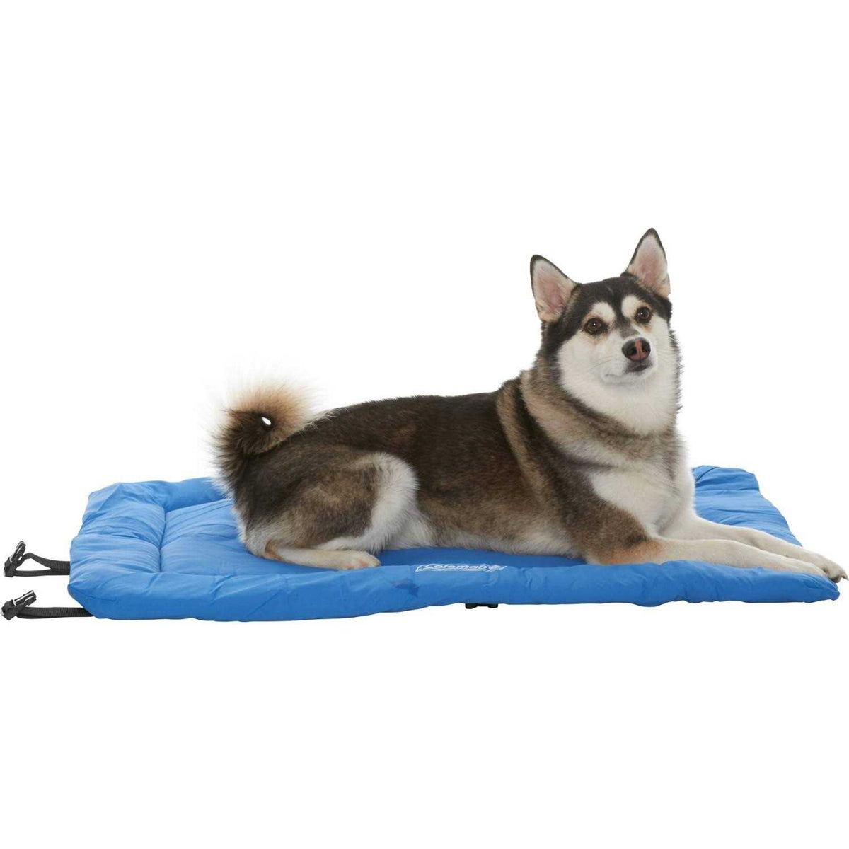 Roll-Up Travel Dog Bed Y255