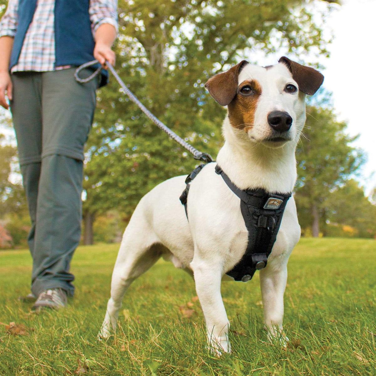 Tru Fit Smart Harness E871