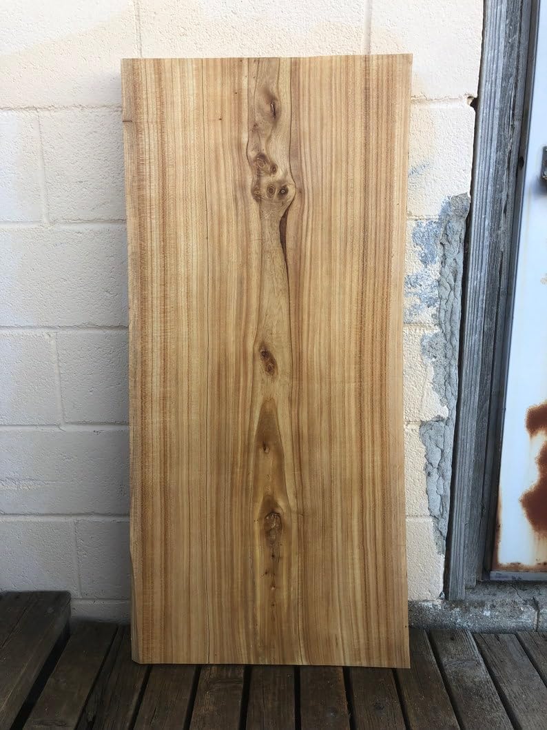 Thick Wood Slab, Live Edge Wood Slabs B534
