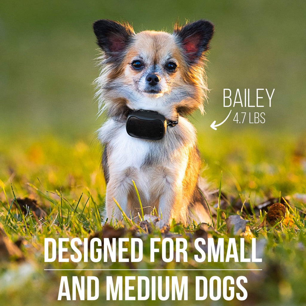 Dog Remote Collar Pack of 2 S28930