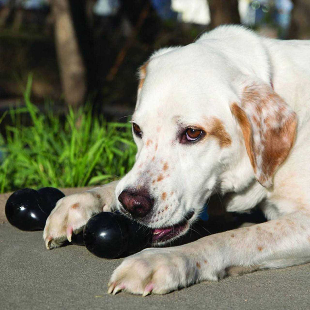 Dog Toy Bone O406127