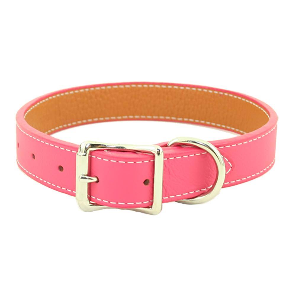 Brown Leather Dog Collar D243256