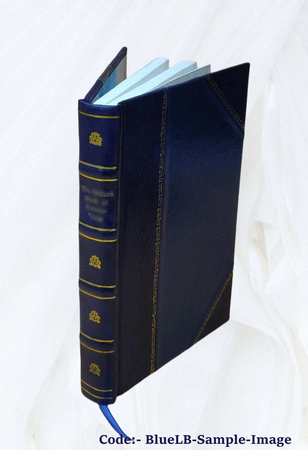 Leather Bound Book V650523