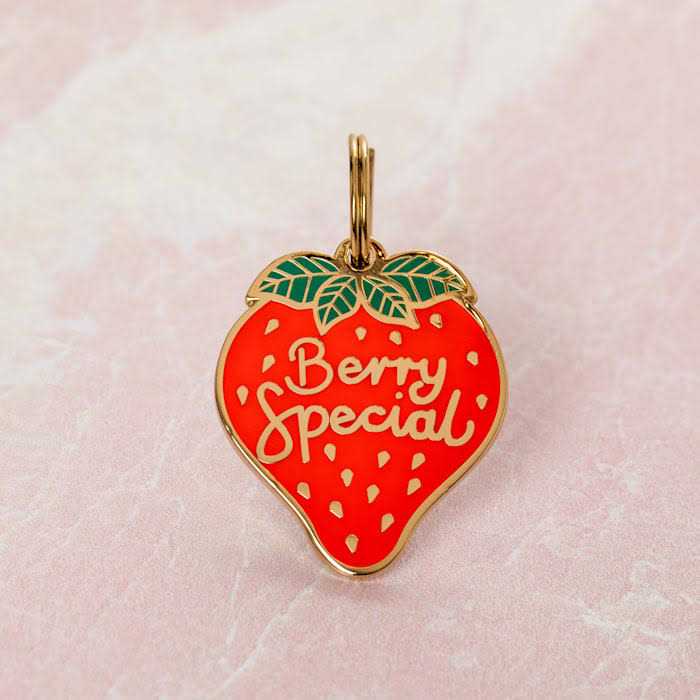 Pet ID Tag N48143