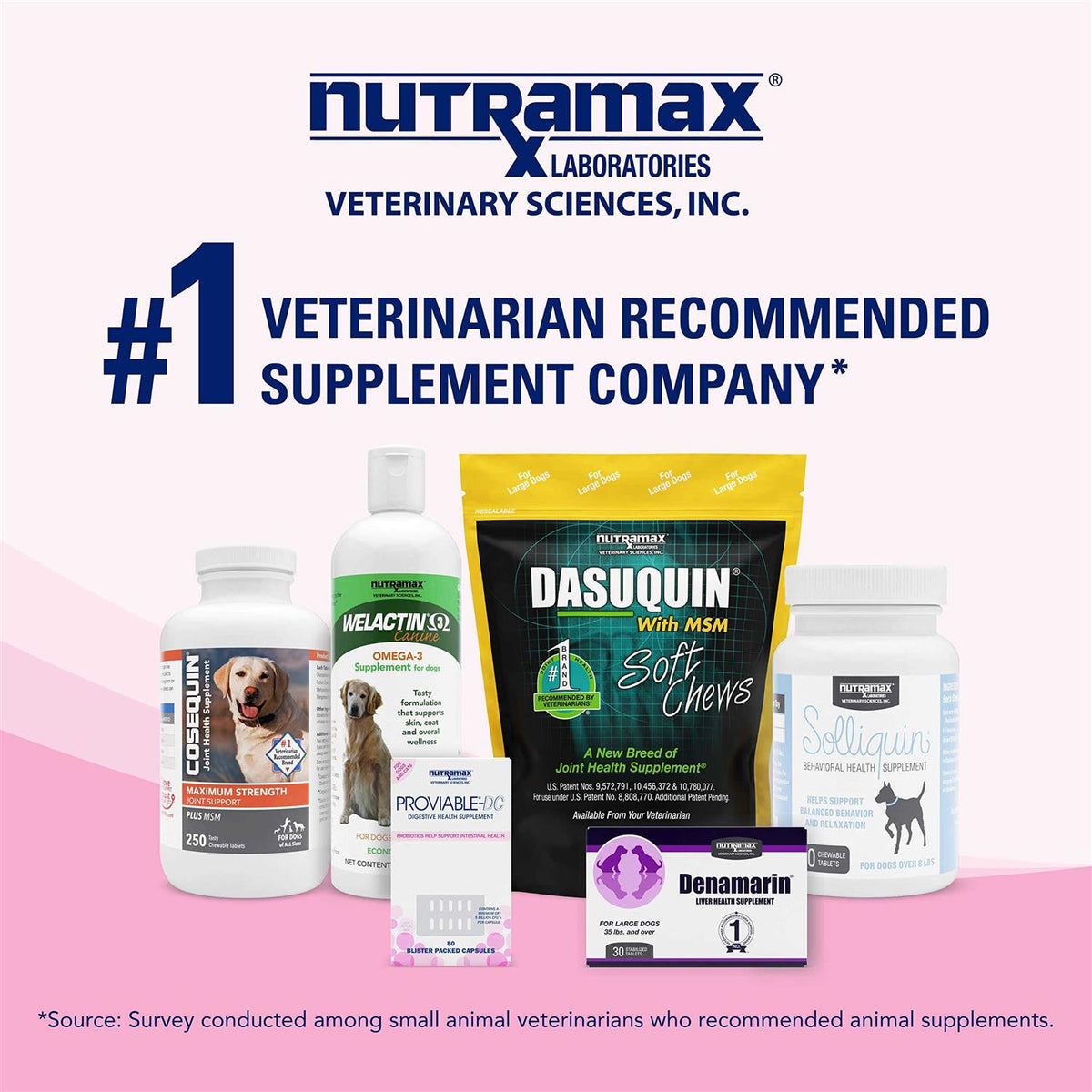 Proviable Health Supplement Kit Dogs Z5122