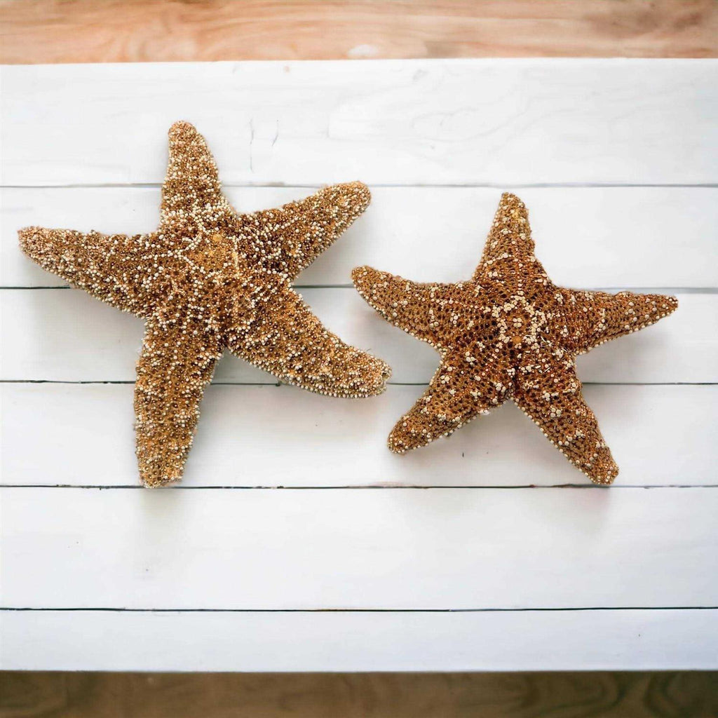 4 6 inch Starfish Decor B9154