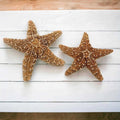 4 6 inch Starfish Decor B9154