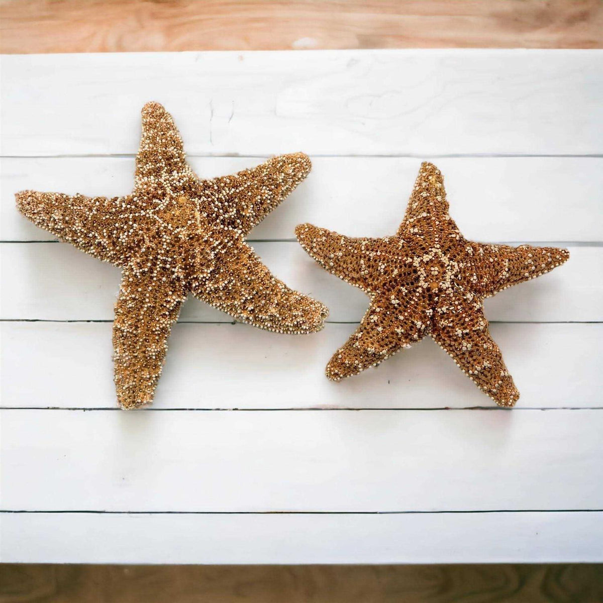 4 6 inch Starfish Decor B9154