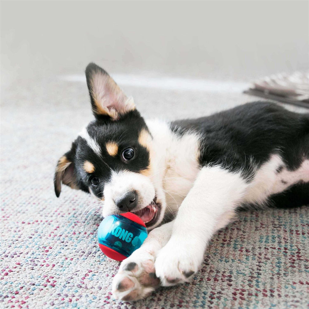 Dog Toy L823459