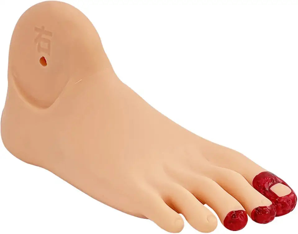Diabetic Foot Care Training Model W996312