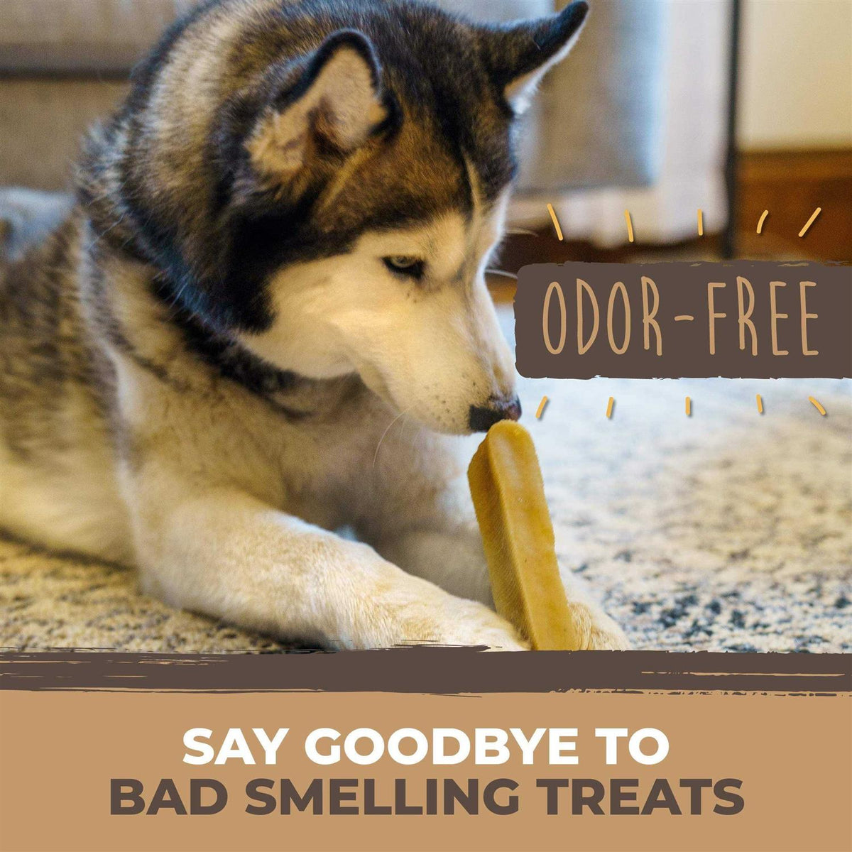 Yak Cheese Chews for Dogs All-Natural Long Lasting Pet Treats Y922